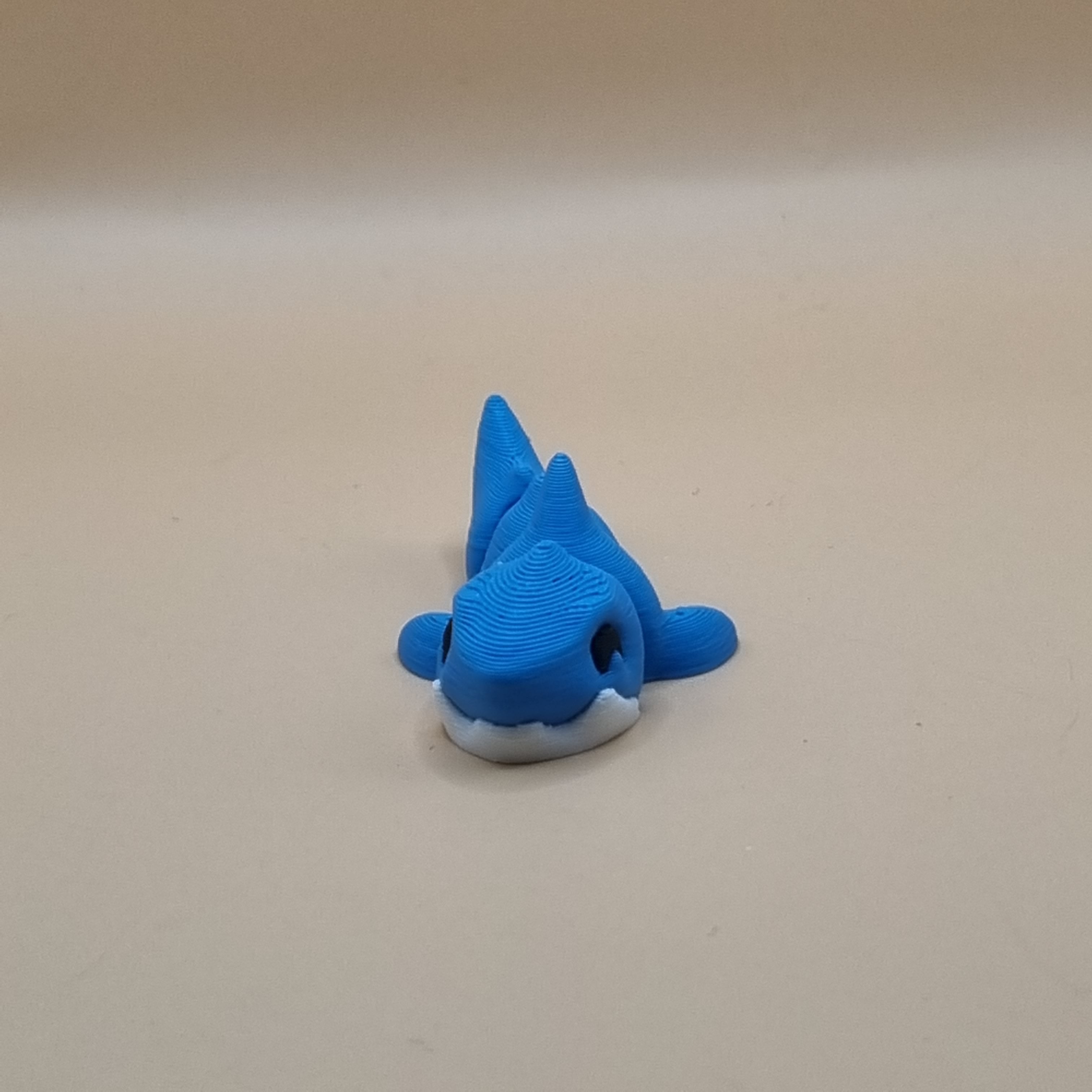 Mini shark