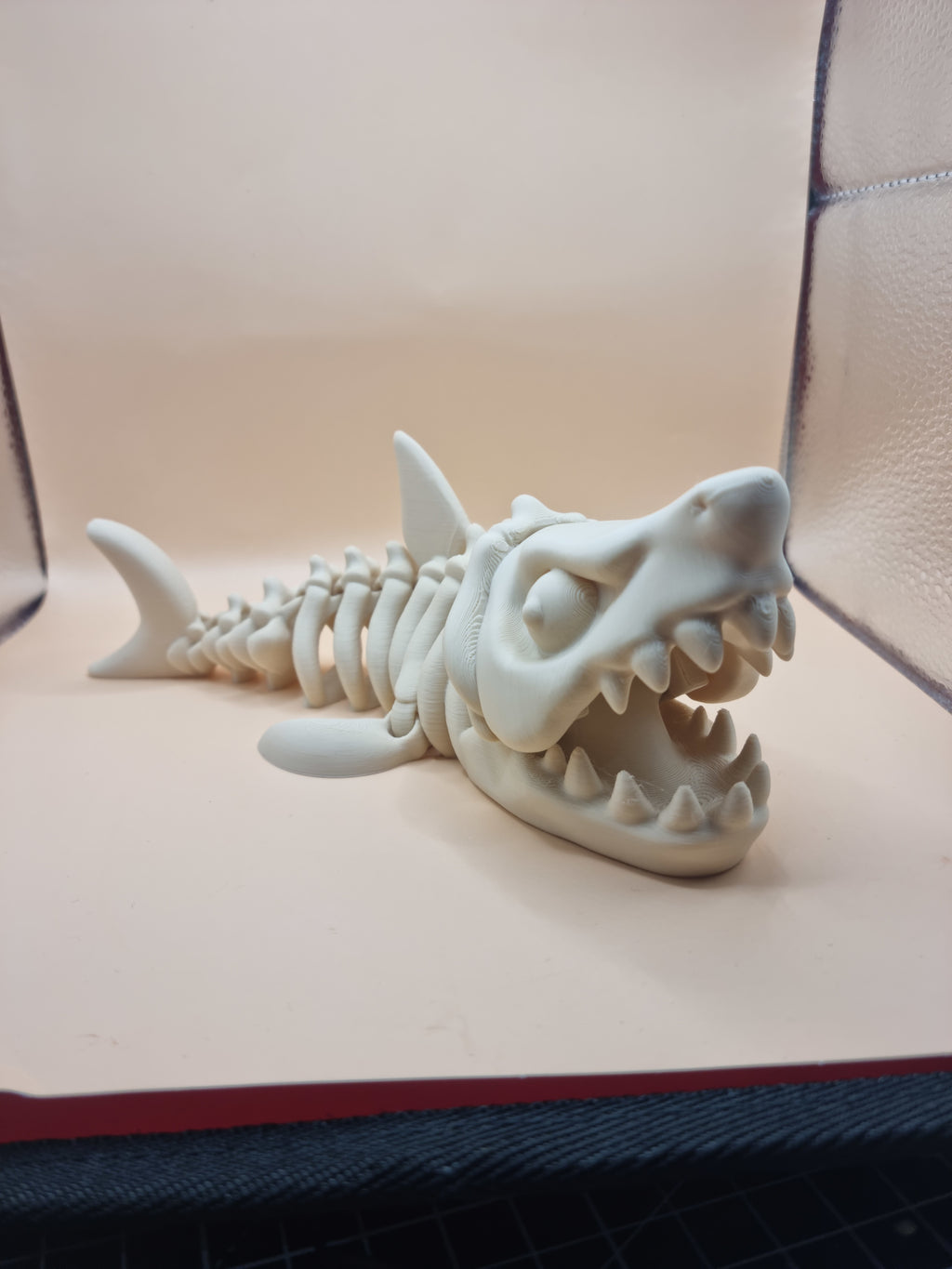 Megalodon skeleton flexi