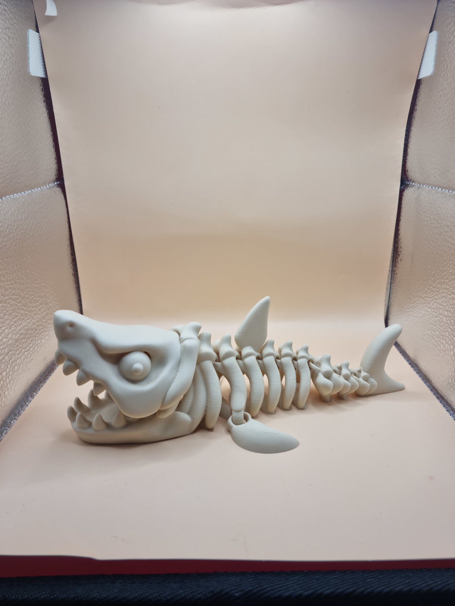Megalodon skeleton flexi