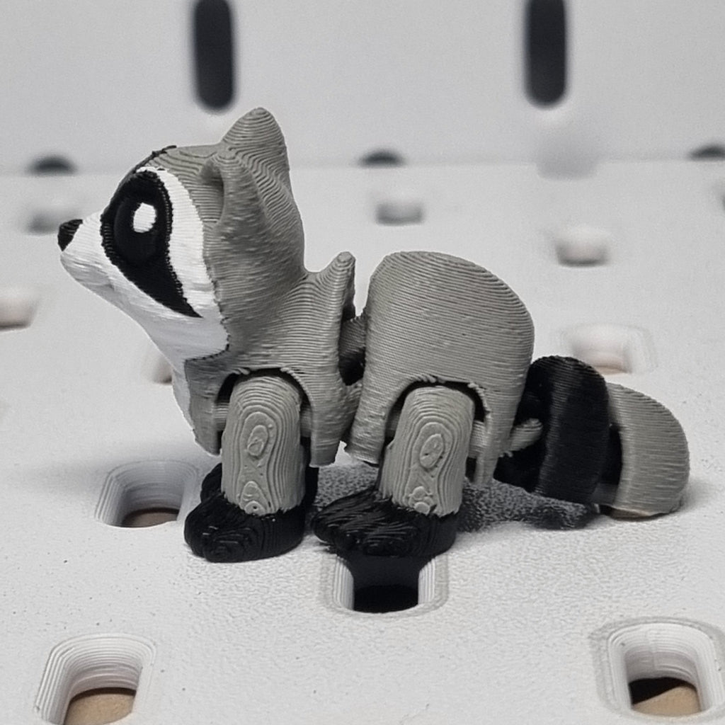 Mini racoon hatchling